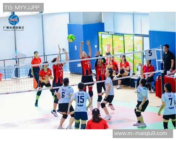 广州排球队引领最新排球战术TOP10探索新高度