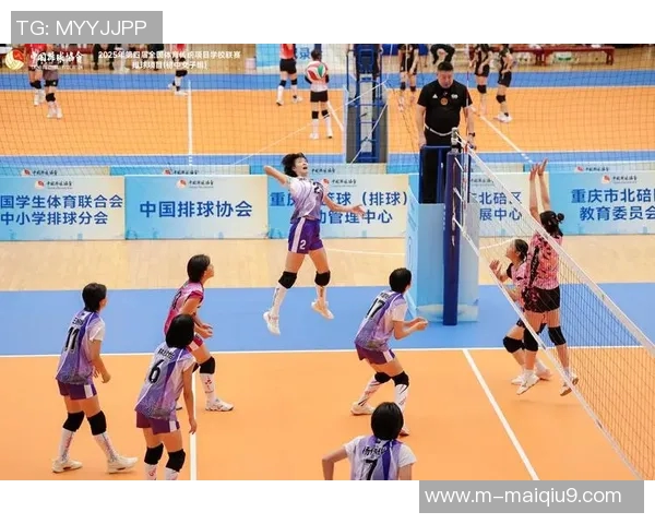 排球焦点深圳排球队技术分析与欧冠足球战术的深度探讨 排球焦点深圳排球队技术分析与欧冠足球战术的深度探讨