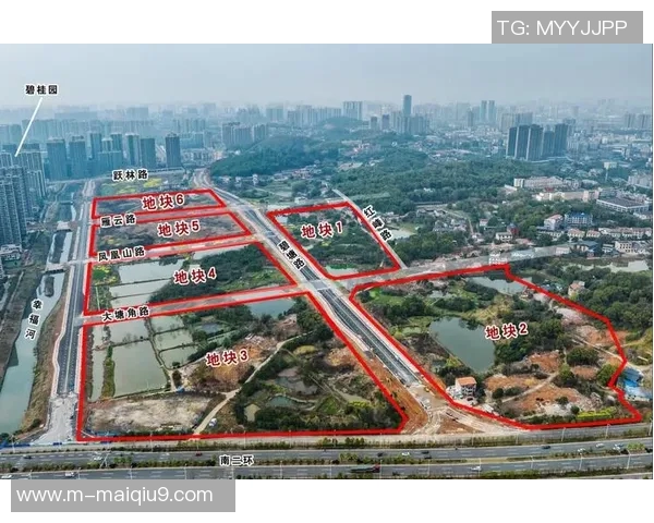 英超重磅专题聚焦武汉排球队的战略转型与未来发展路径探讨