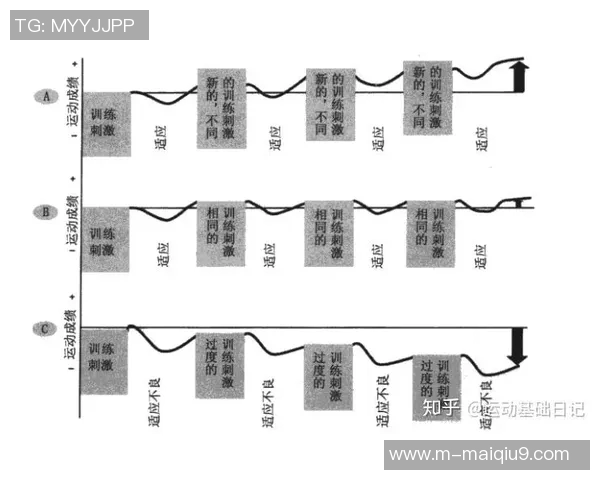 赵磊深度解析排球技巧与心得分享助你提升竞技水平
