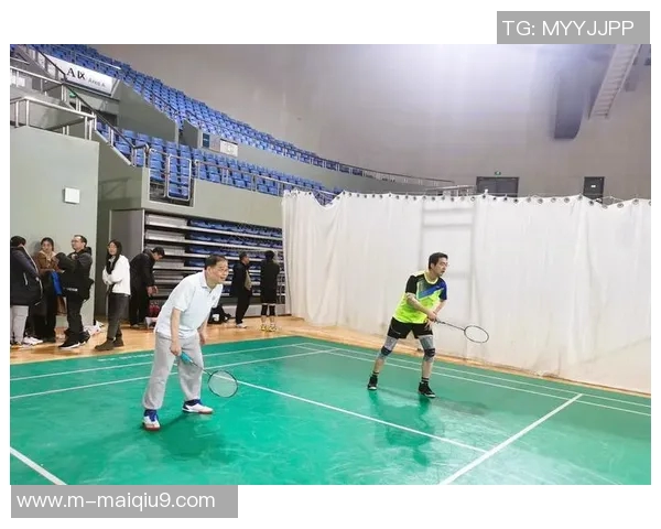 运动数据南京羽毛球队在羽毛球比赛中经验排名创新高展现实力与团队精神